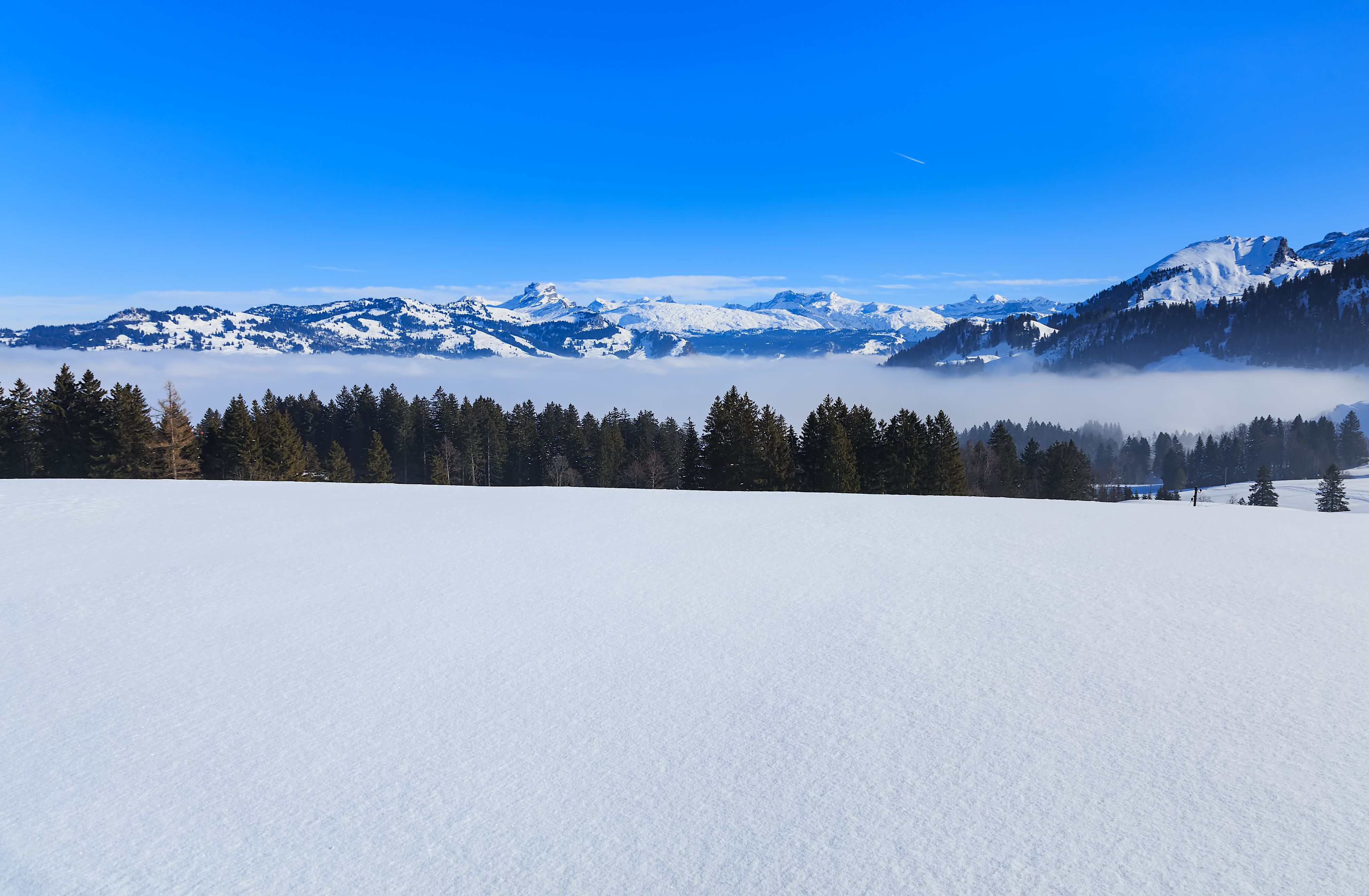 Summits of the Swiss Alps rising from sea of fog in winter, view from the village of Stoos in the Swiss canton of Schwyz.